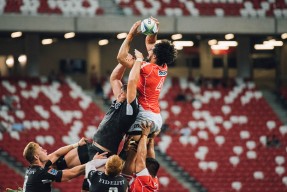 开云网页版登录入口-球队心理策略如何助力保级黑马逆境持续发挥，球迷心理